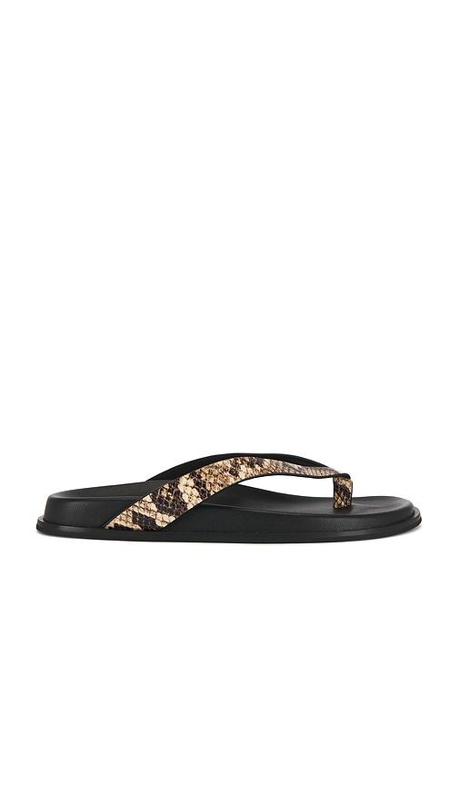 PAIGE Zadie Sandal in Tan by PAIGE