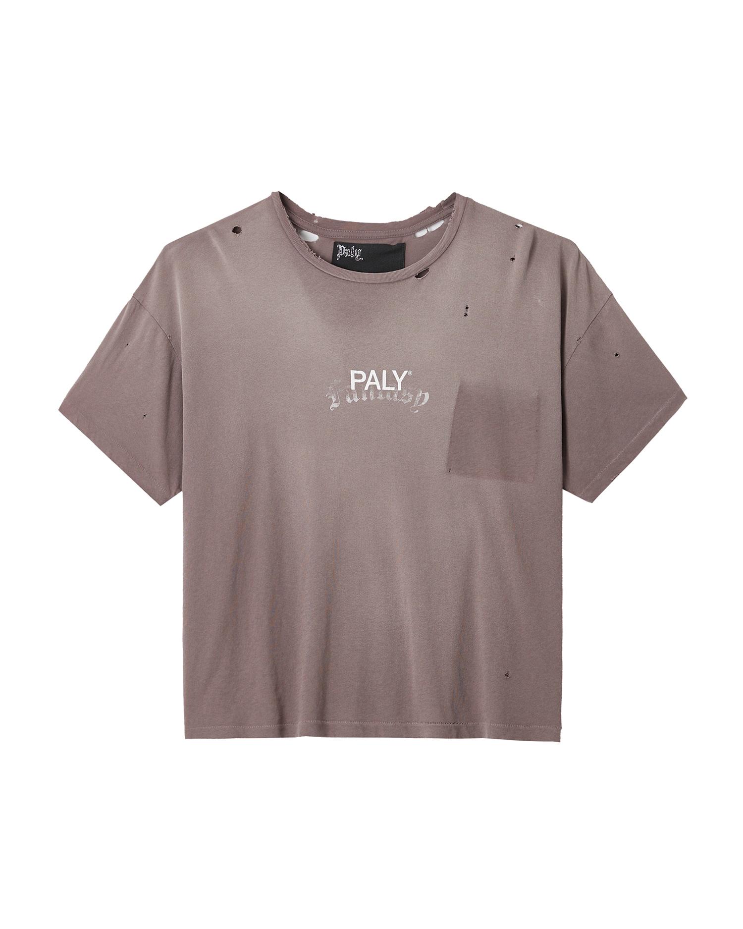 Distressed tee by PALY