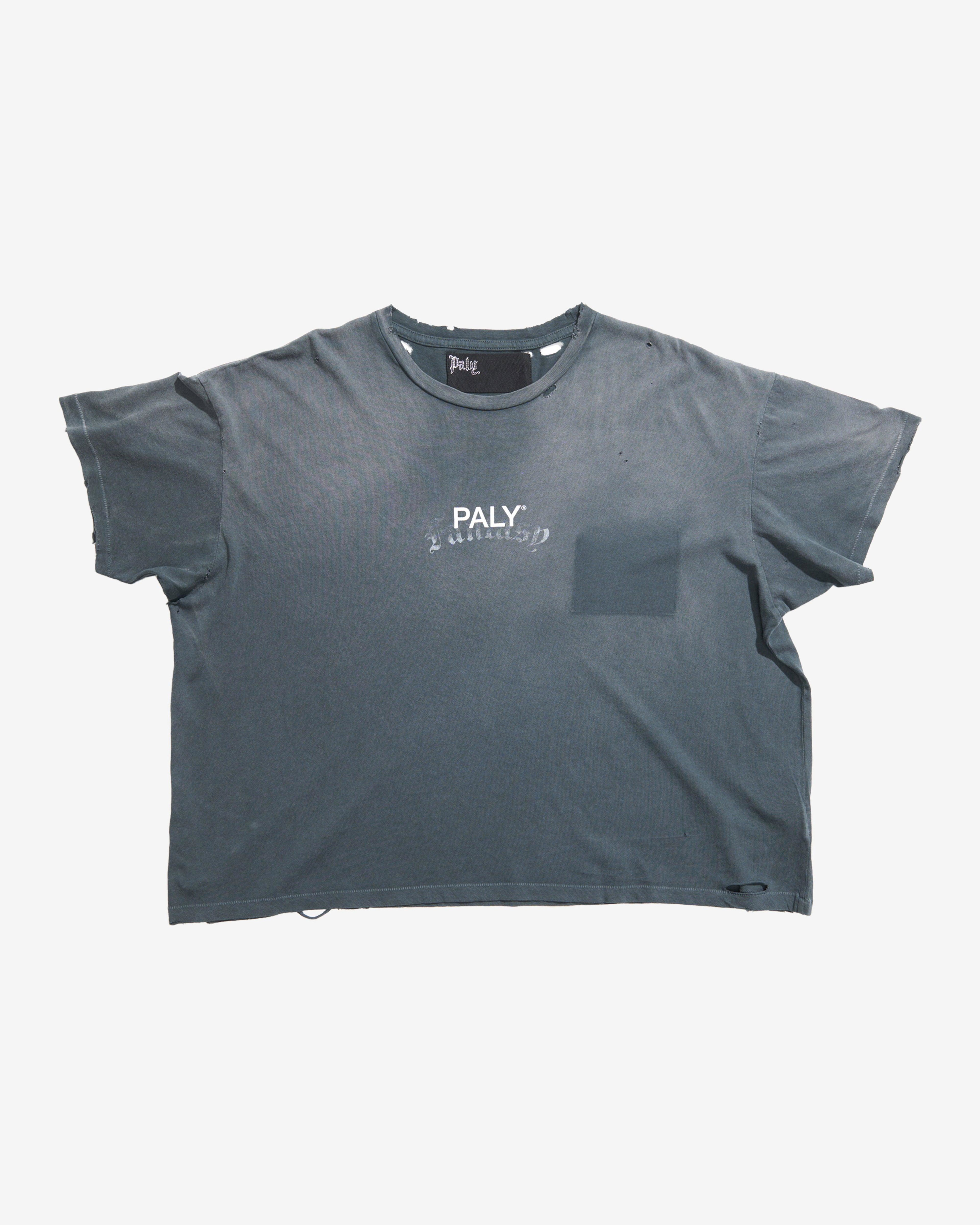 Paly - Men's Core Logo Tee - (Black) by PALY