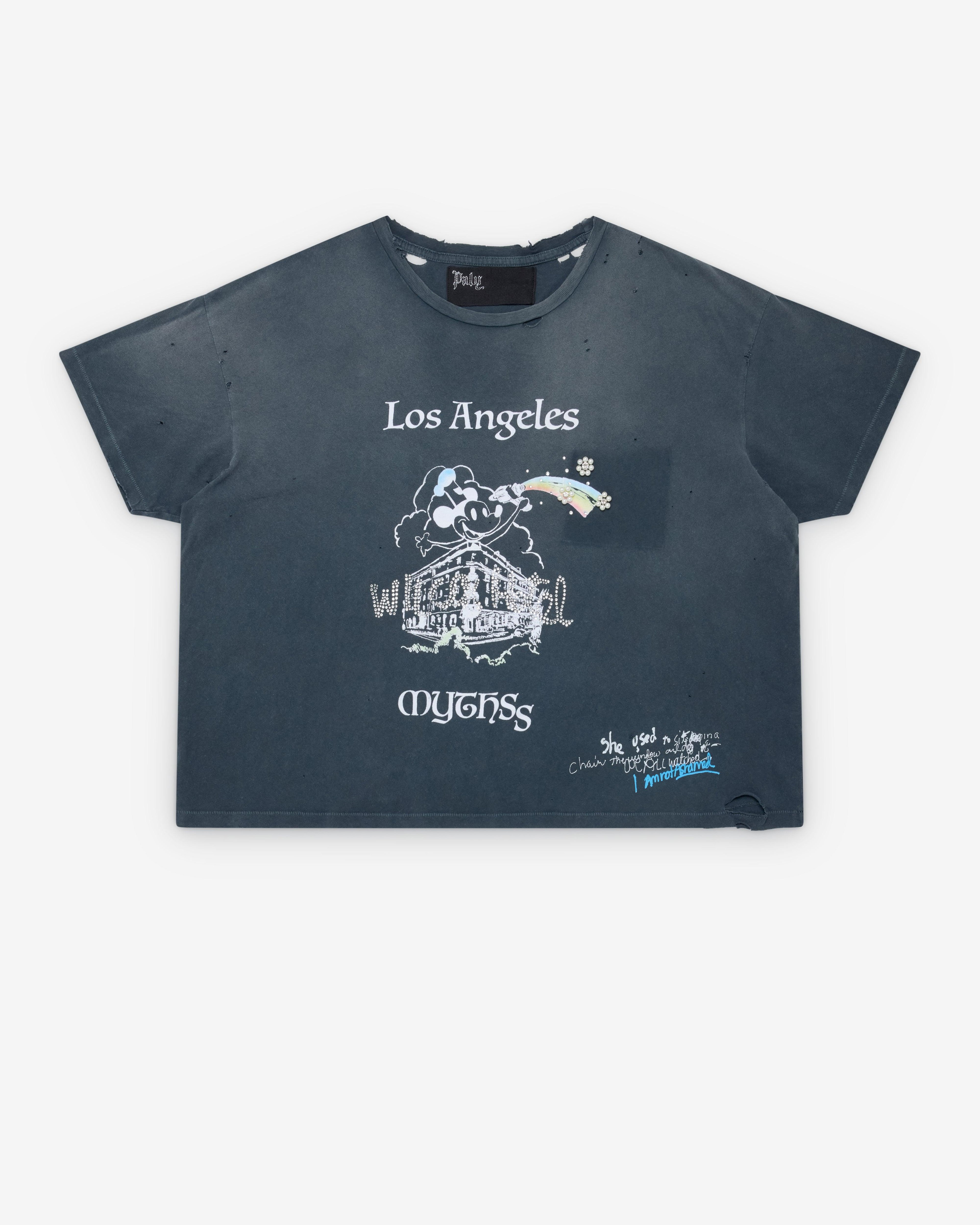 Paly - Men's Mythss Tee - (Faded Black) by PALY