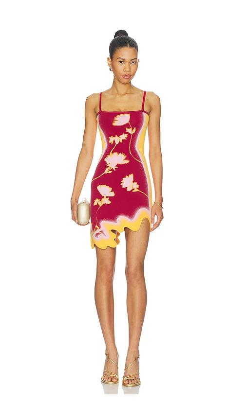 PH5 Lyndon Wavy Mini Dress in Burgundy,Orange by PH5
