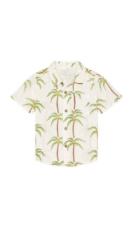 Pink Chicken Boys Jack Shirt in Cream by PINK CHICKEN