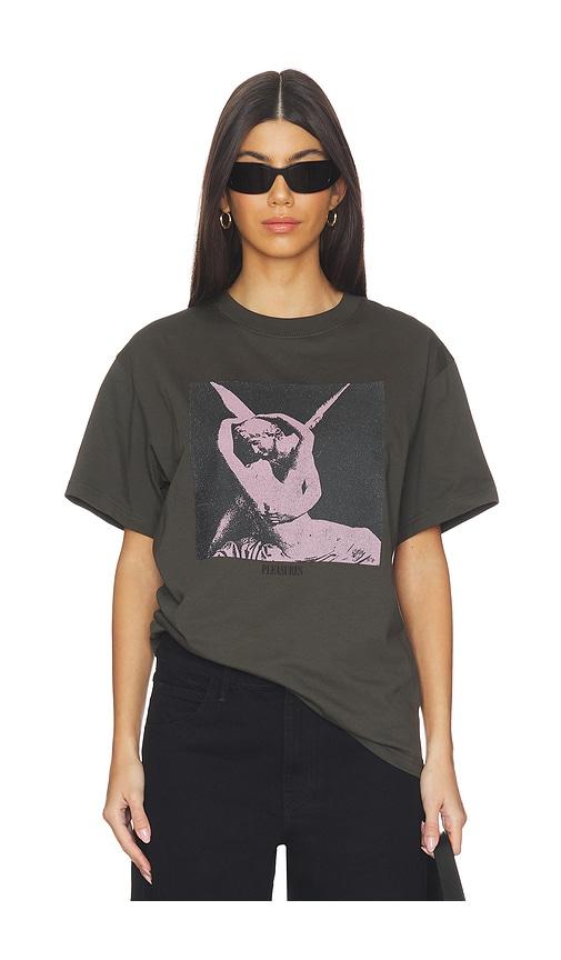 Pleasures Angel T-Shirt in Charcoal by PLEASURES
