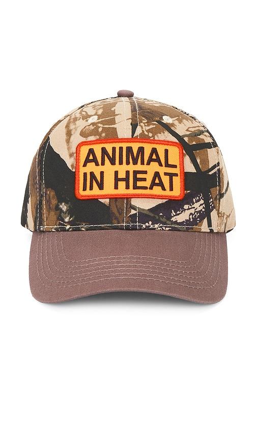 Pleasures Heat Snapback Hat in Brown by PLEASURES