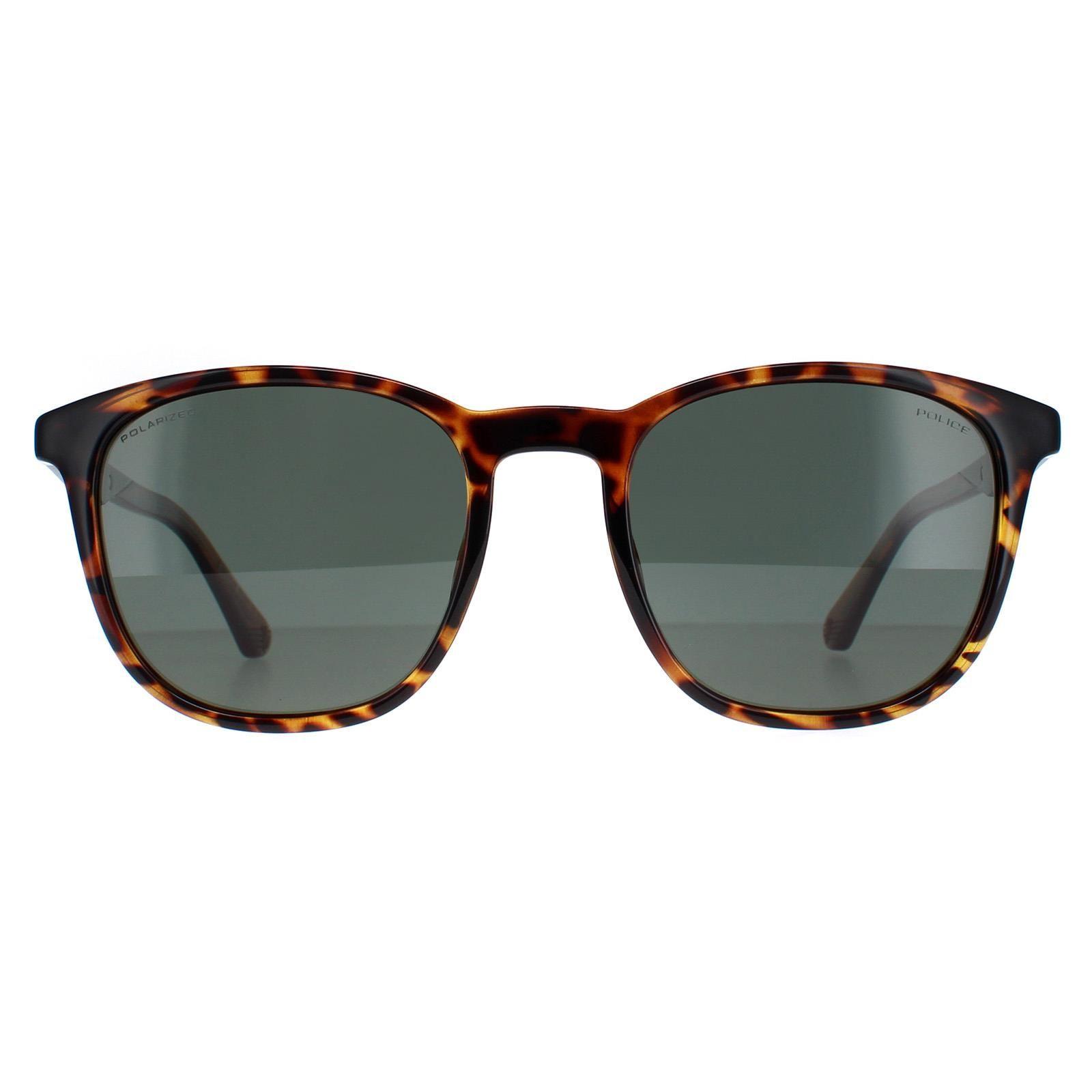 Round Shiny Dark Havana Green Polarized SPLF18E by POLICE