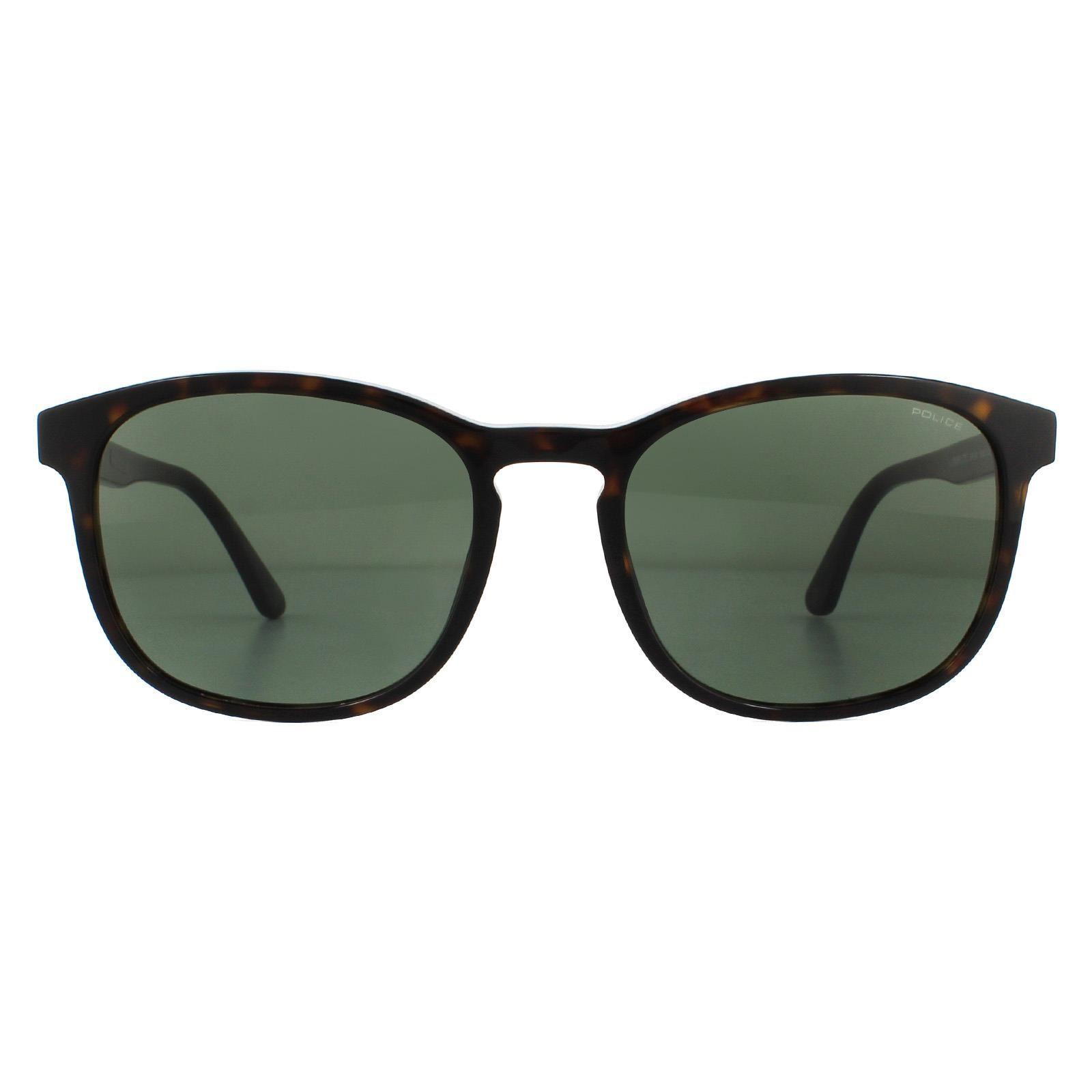 Square Shiny Havana Green Sunglasses by POLICE