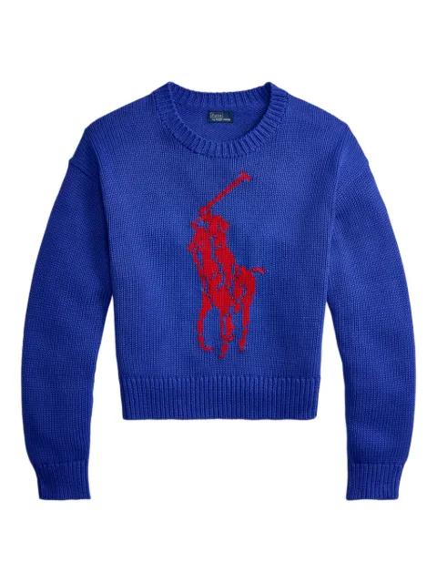Big Pony sweater by POLO RALPH LAUREN