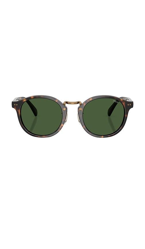 Polo Ralph Lauren Circular Sunglasses in Brown by POLO RALPH LAUREN
