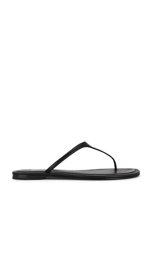 Polo Ralph Lauren Nappa Play Thong Sandals in Black by POLO RALPH LAUREN