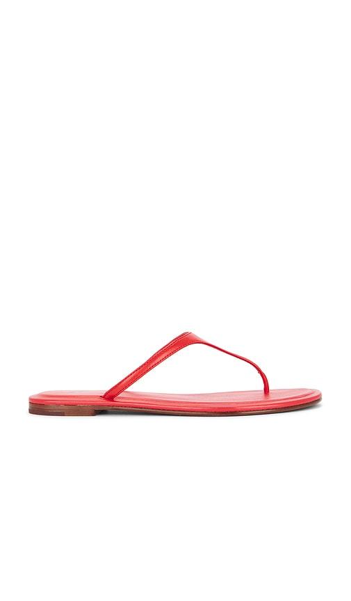 Polo Ralph Lauren Nappa Thong Flat Sandals in Red by POLO RALPH LAUREN