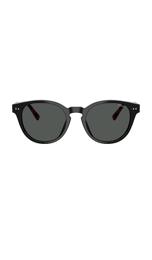 Polo Ralph Lauren Phantos Sunglasses in Black by POLO RALPH LAUREN