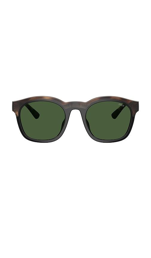 Polo Ralph Lauren Square Sunglasses in Brown by POLO RALPH LAUREN