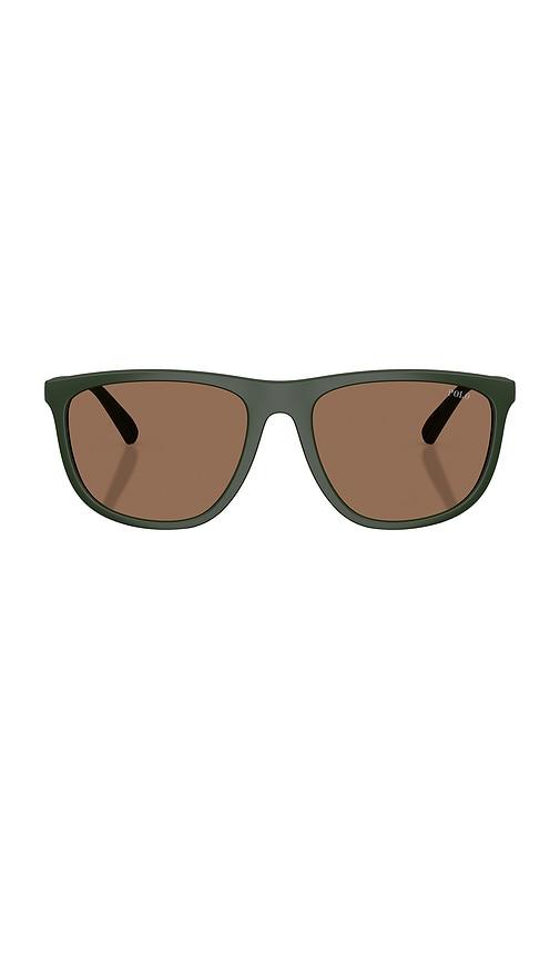 Polo Ralph Lauren Sunglasses in Dark Green by POLO RALPH LAUREN