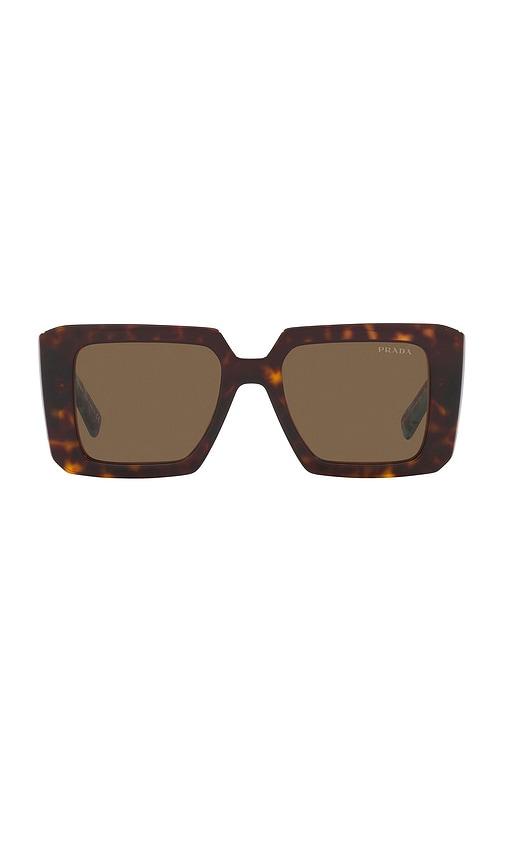 Prada Square Sunglasses in Chocolate by PRADA