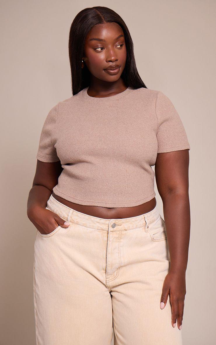 Plus Basic  Soft Touch Rib Crop Top by PRETTYLITTLETHING