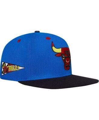 Men's Royal Chicago Bulls Any Condition Snapback Hat by PRO STANDARD