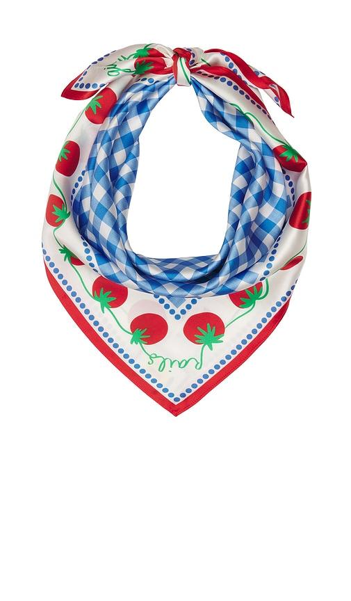 Rails x Giadzy Cosima Scarf in Blue,White by RAILS