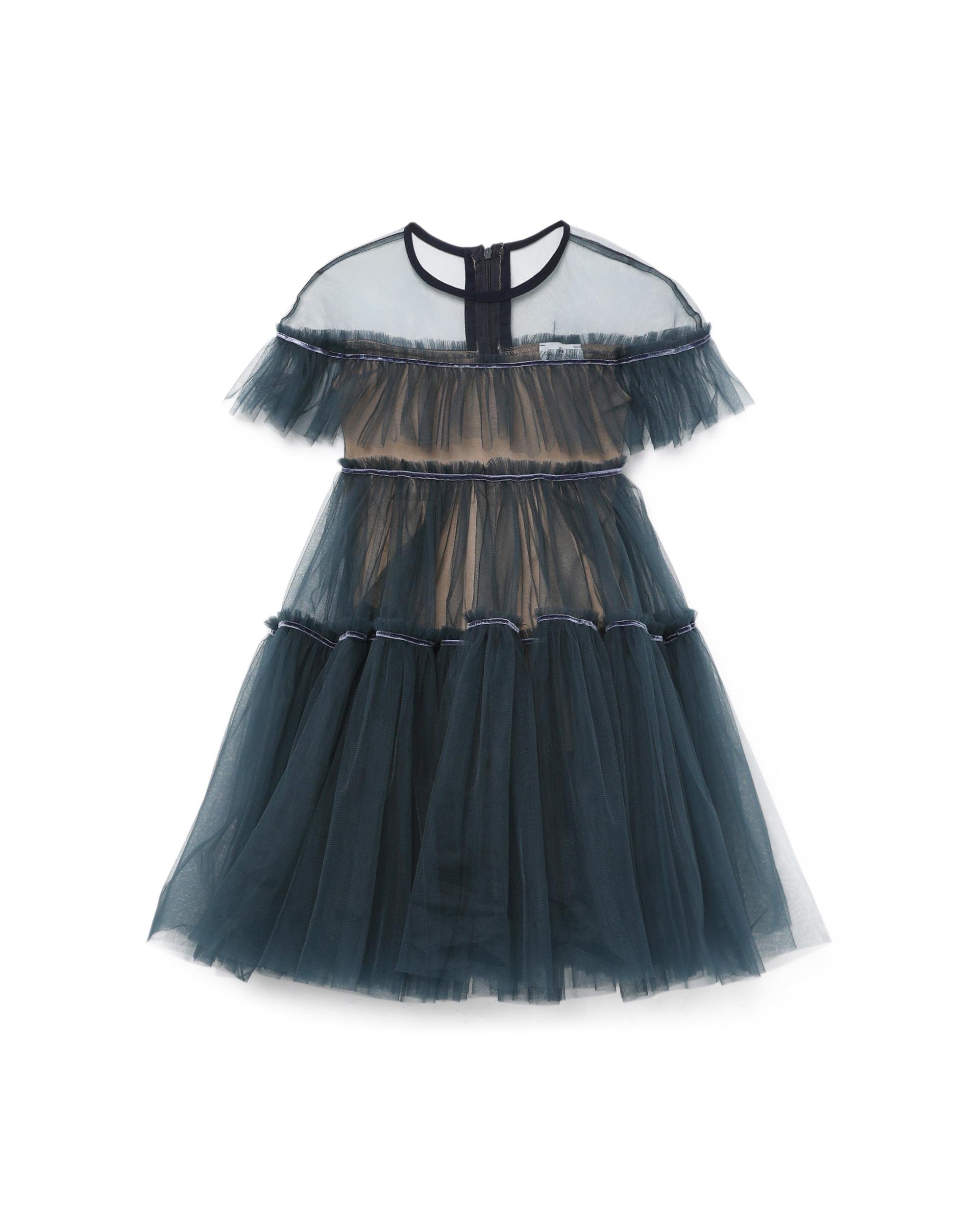 Kids panelled tulle dress by RASPBERRY PLUM