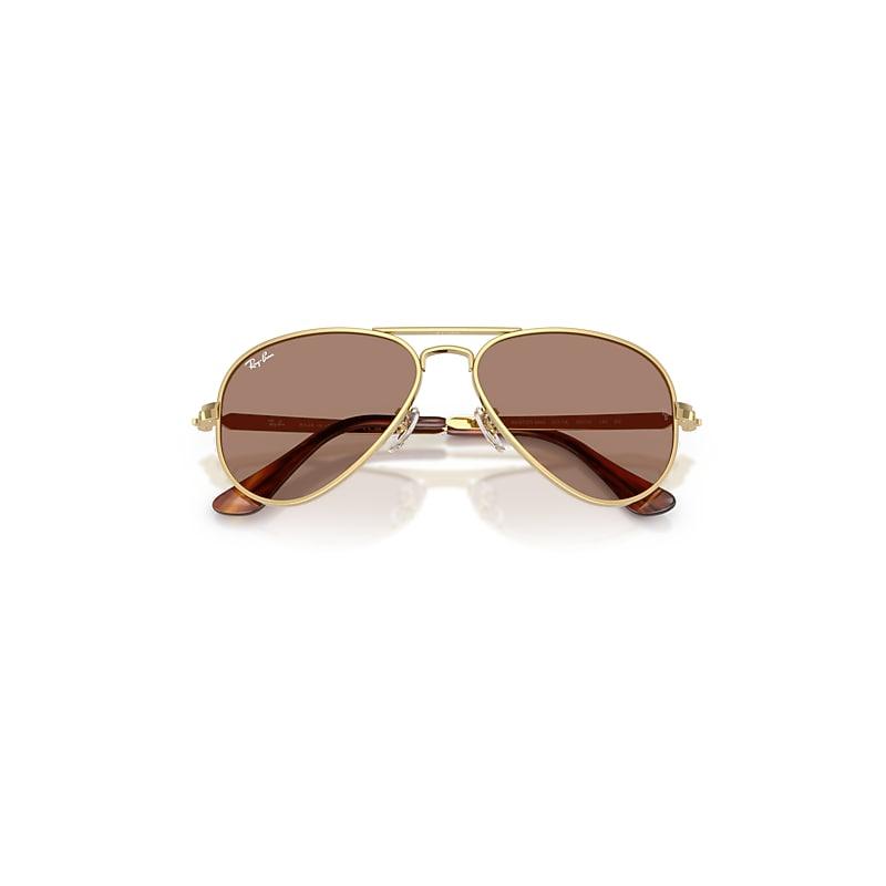 Ray-Ban Aviator Max Holiday Limited Sunglasses Gold Frame Violet Lenses by RAY-BAN