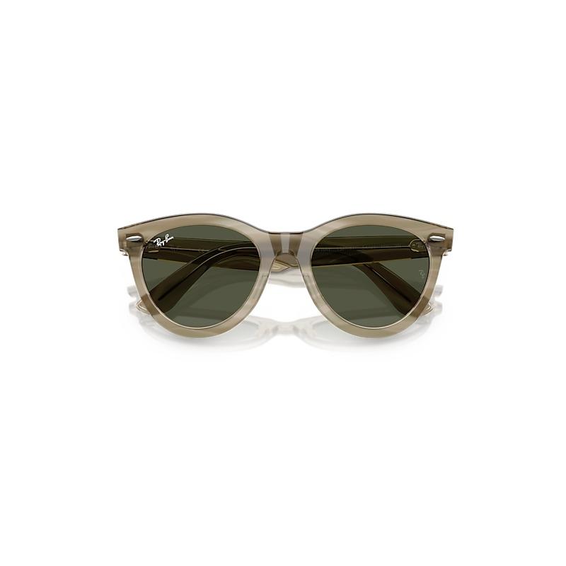 Ray-Ban Wayfarer Way Change Holiday Limited Sunglasses Photo Striped Grey Frame Green Lenses by RAY-BAN