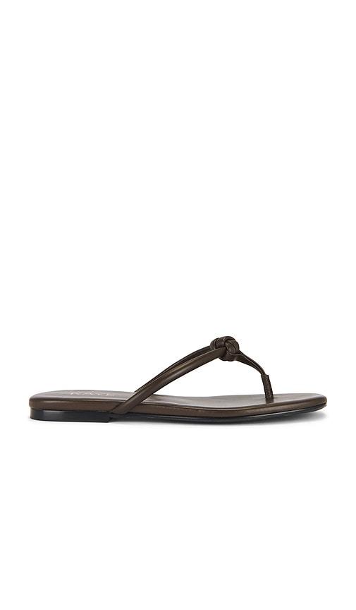 RAYE Aarav Sandal in Chocolate by RAYE