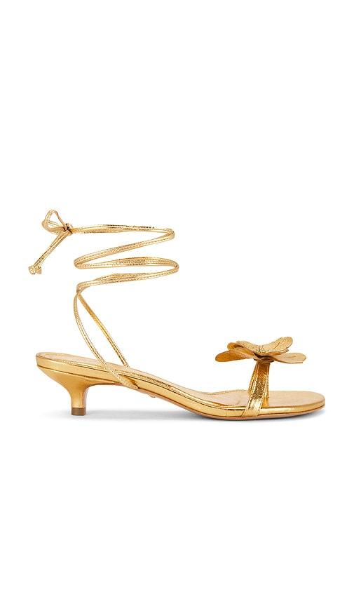 RAYE Catalina Sandal in Metallic Gold by RAYE