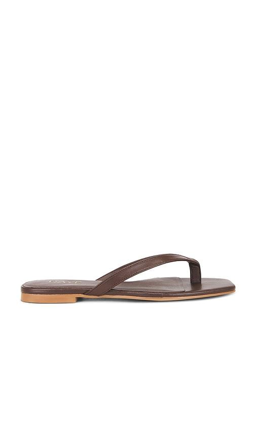 RAYE Grainger Flip Flop in Brown by RAYE