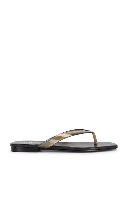 RAYE Paloma Flip Flop in Black by RAYE