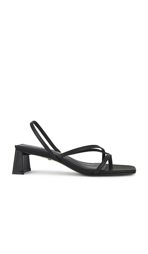 RAYE Porter Sandal in Black by RAYE