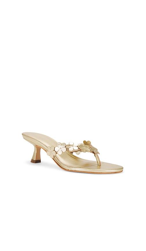RAYE Zoey Sandal in Metallic Gold by RAYE