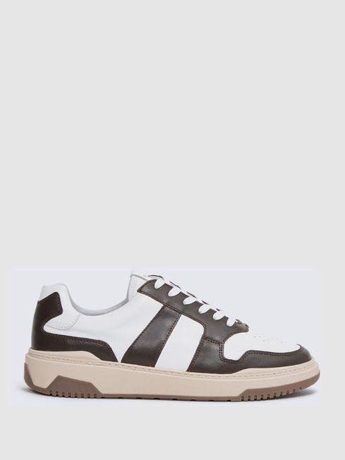 Brown Arlo Low Top Leather Trainers by REISS