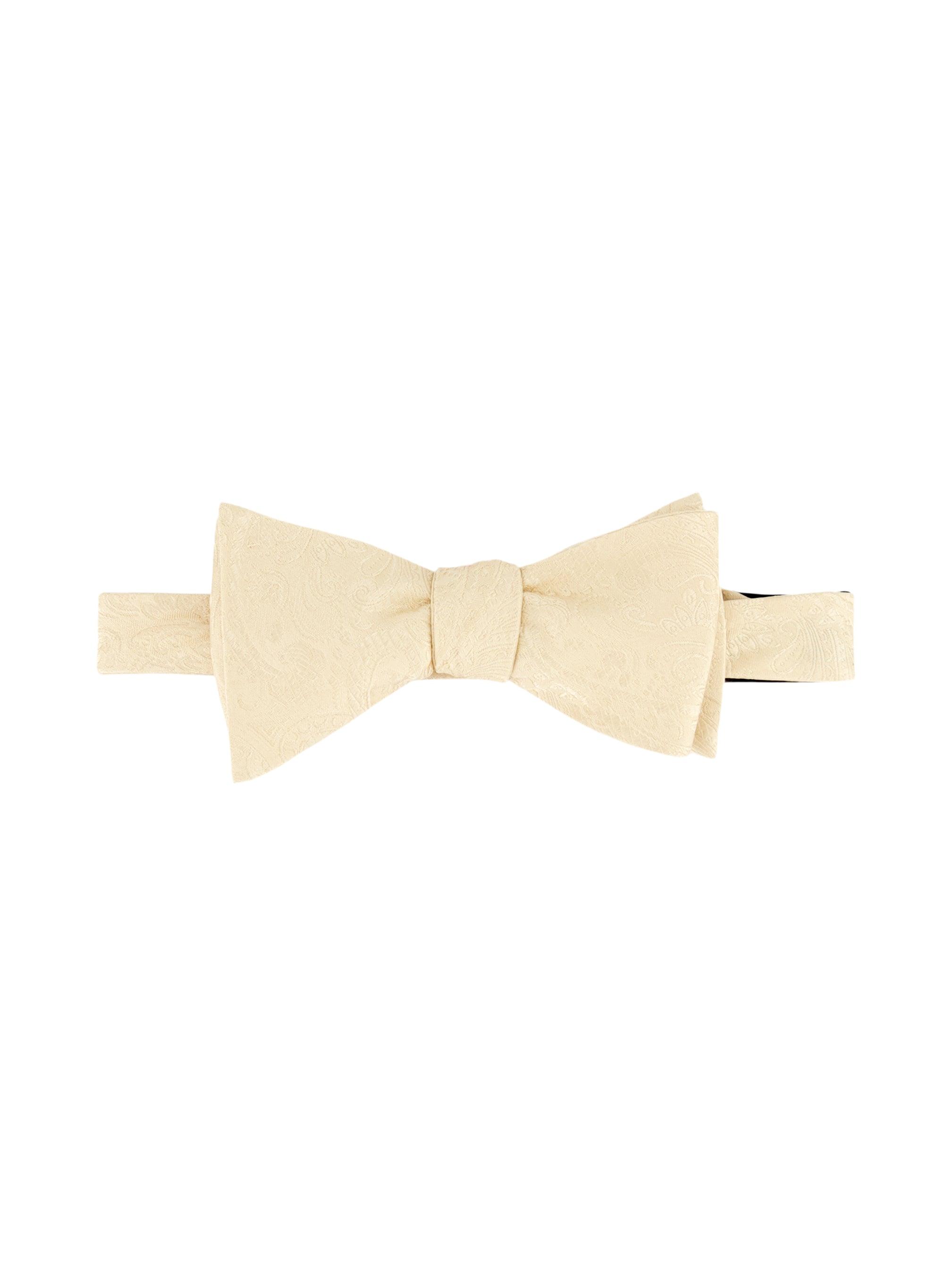 Robert Graham Solid Paisley Bow Tie by ROBERT GRAHAM