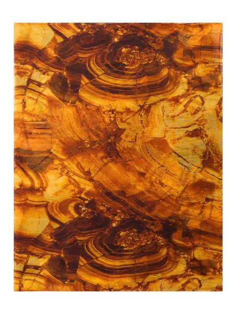 abstract-print scarf by ROBERTO CAVALLI