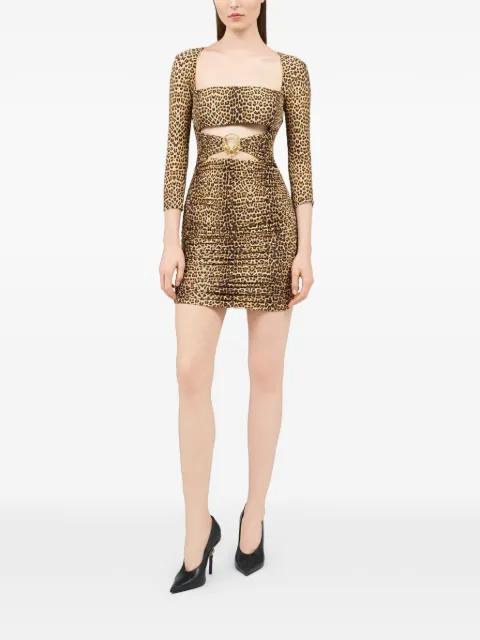 cut-out animal-print mini dress by ROBERTO CAVALLI
