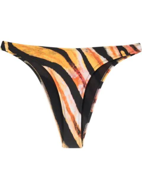 tiger-print bikini bottoms by ROBERTO CAVALLI