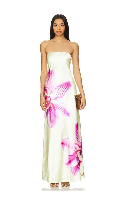 Runaway The Label Celeste Maxi Dress in Lemon by RUNAWAY THE LABEL