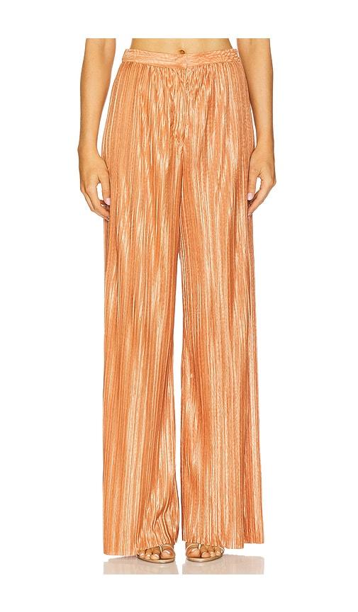 Sabina Musayev Rainy Pants in Rust by SABINA MUSAYEV