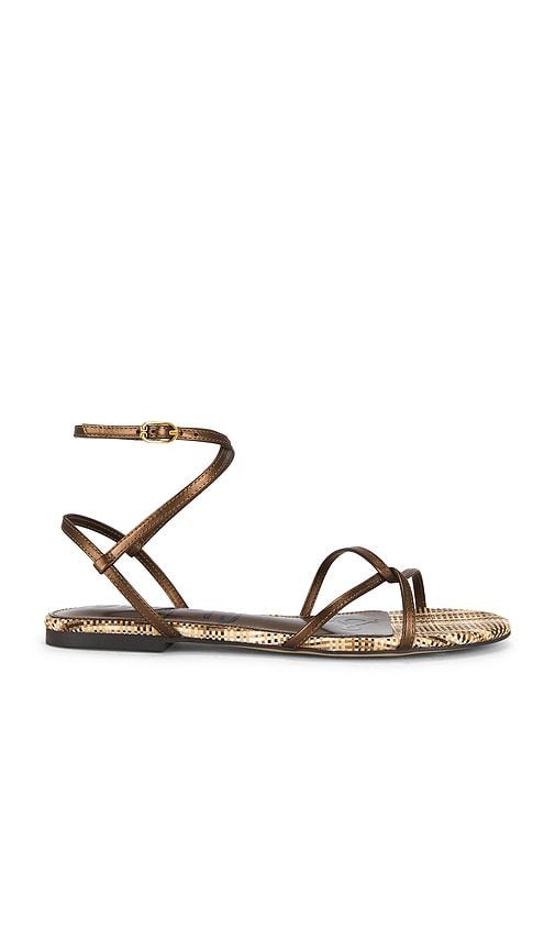 Sam Edelman Ellina Sandal in Metallic Bronze, brown by SAM EDELMAN