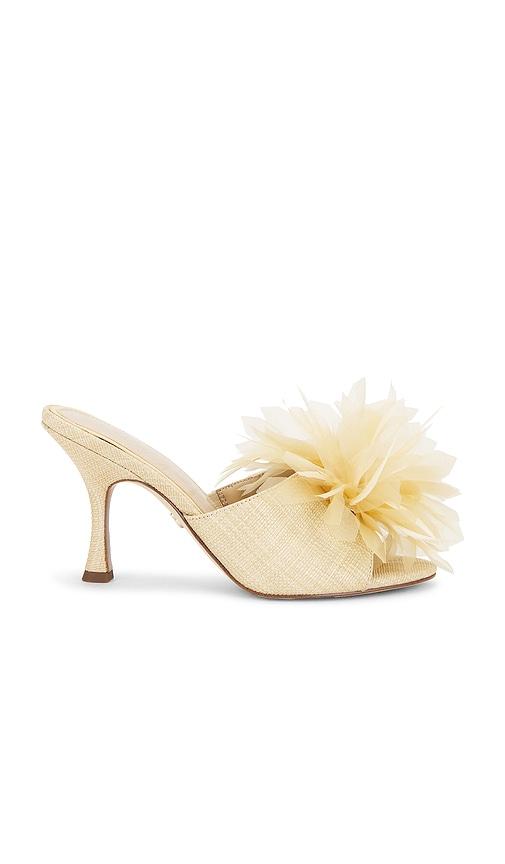 Sam Edelman Jace Mule in Beige by SAM EDELMAN