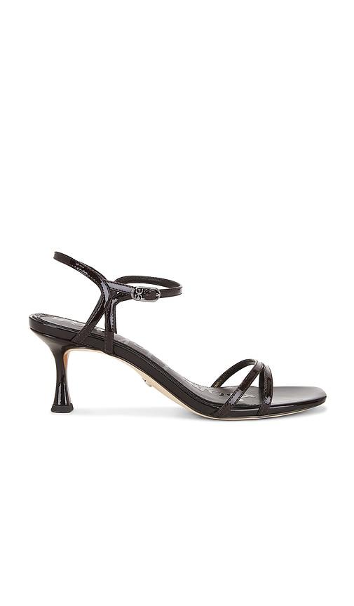 Sam Edelman Presley Sandal in Chocolate by SAM EDELMAN