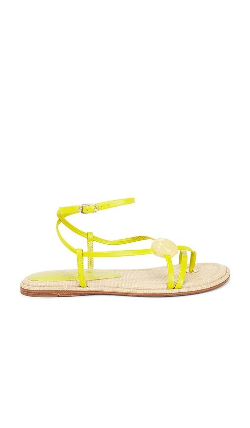 Sam Edelman Rillie Sandal in Green by SAM EDELMAN