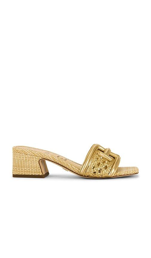 Sam Edelman Waylon Weave Sandal in Metallic Gold by SAM EDELMAN