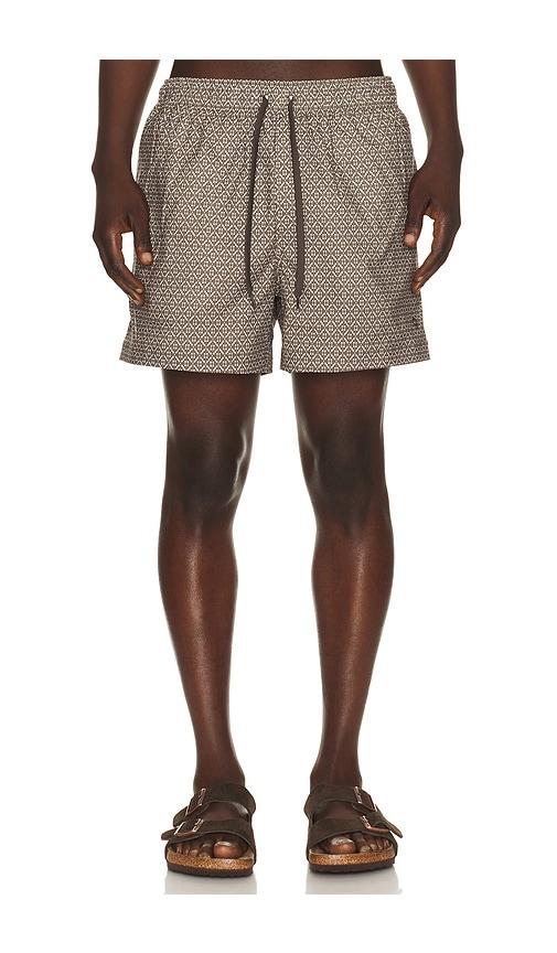 SAMSOE SAMSOE Moses Swim Shorts in Brown by SAMSOE&SAMSOE