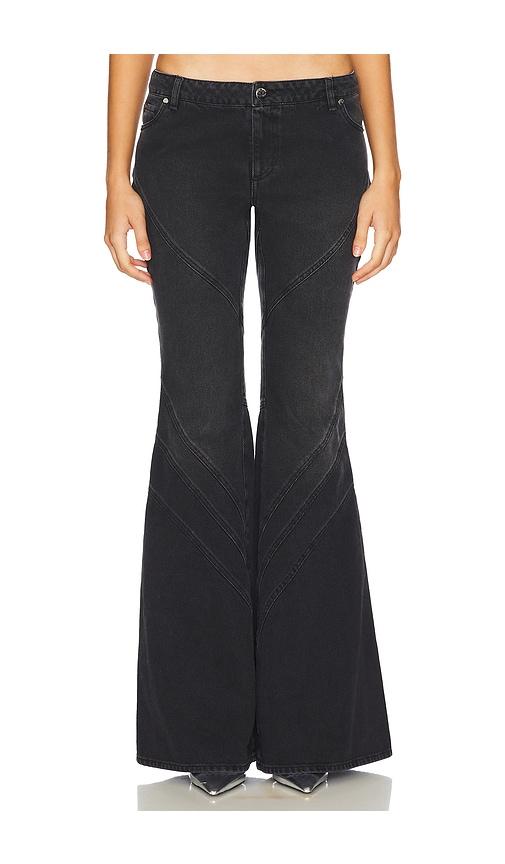 Santa Brands Flared Jeans in Black by SANTA BRANDS