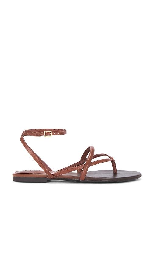 Schutz Diana Flat Sandal in Brown by SCHUTZ Schutz Diana Flat Sandal in Brown by SCHUTZ