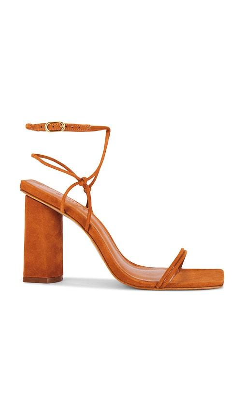 Schutz Pompeii Sandal in Brown by SCHUTZ