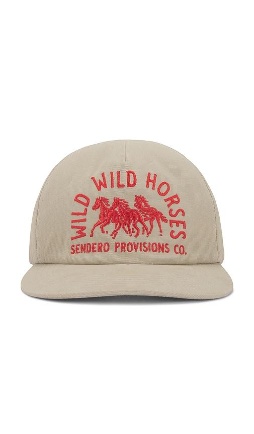 Sendero Provisions Co. Wild Horses Hat in Cream by SENDERO PROVISIONS CO.