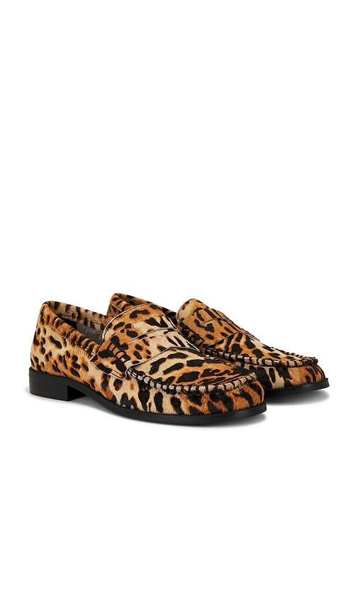 SENSO Cooper VII Loafer in Brown by SENSO