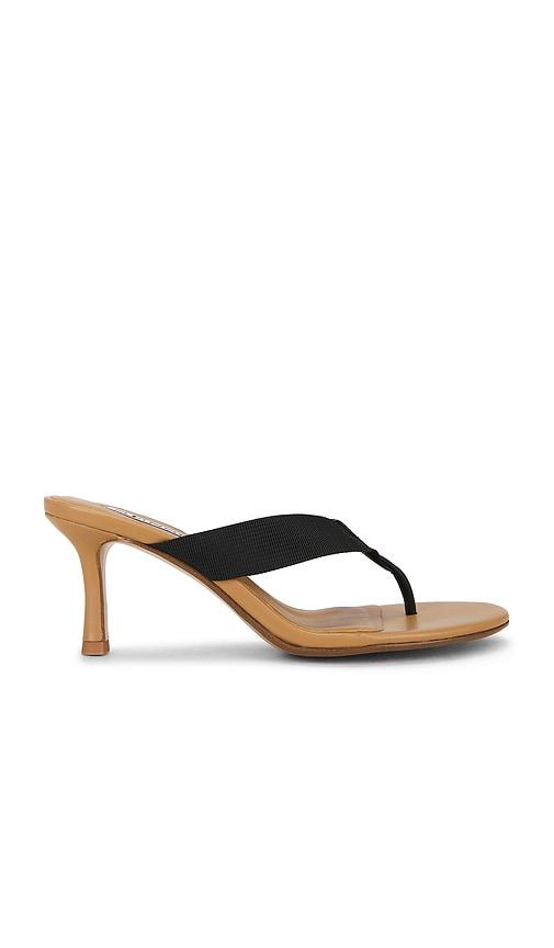 SENSO Frida Sandal in Black by SENSO