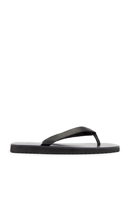 SENSO Xeo Flip Flop in Brown by SENSO